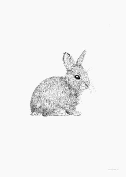 Print Hase (A6 )von Inkylines edel weiss