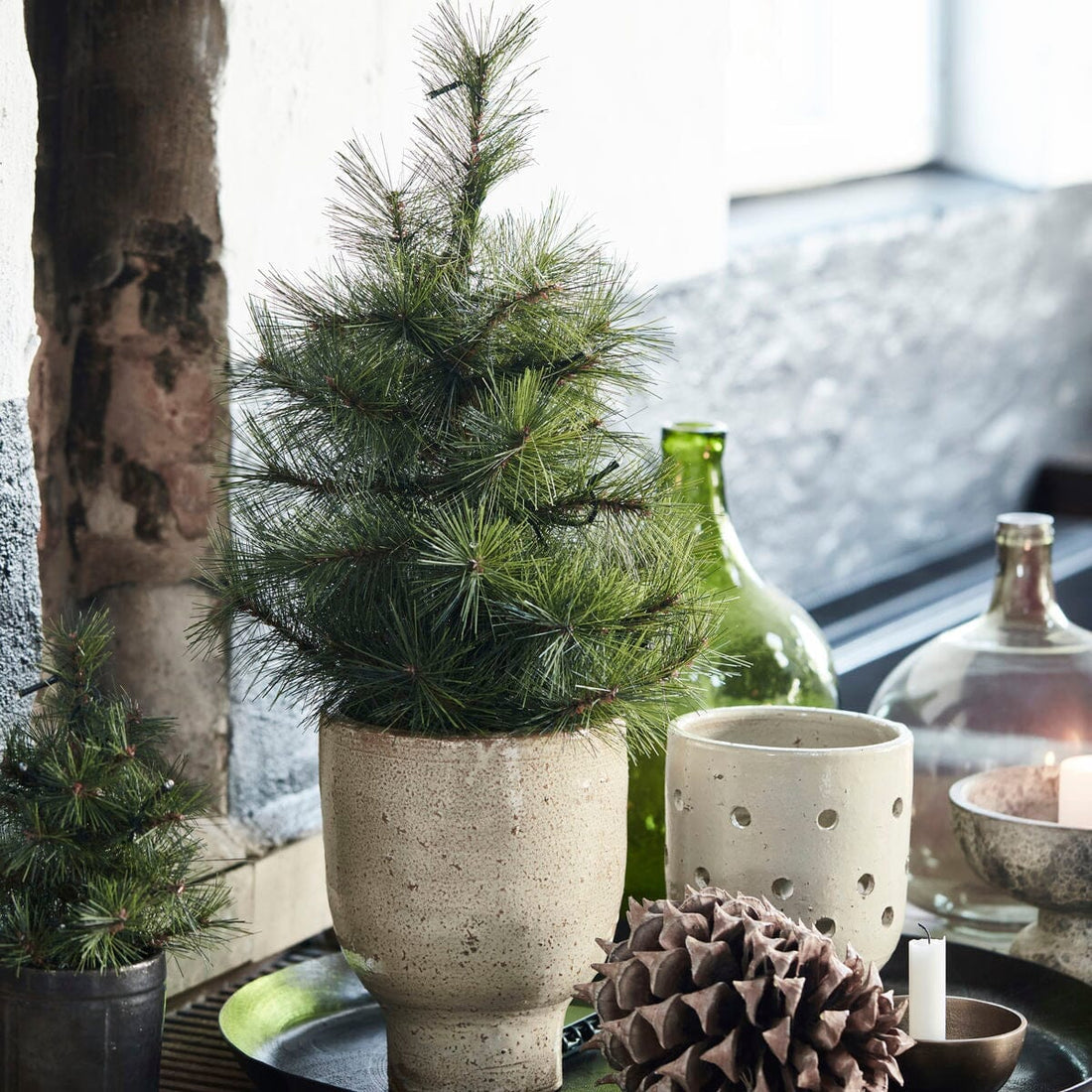 Weihnachtsbaum Pinus von house doctor edel weiss