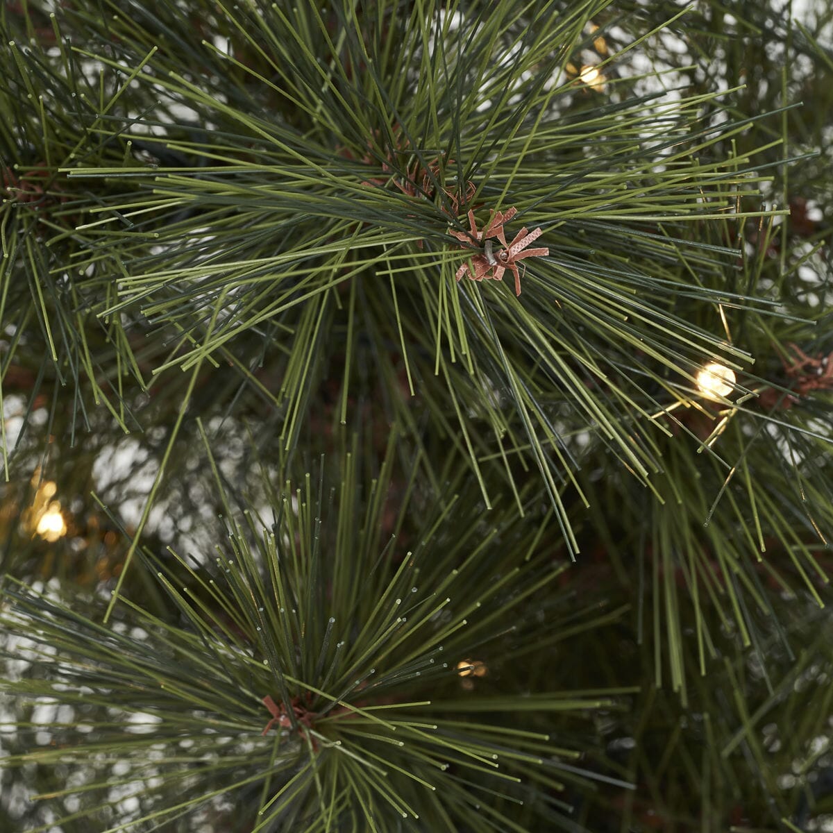 Weihnachtsbaum Pinus von house doctor edel weiss